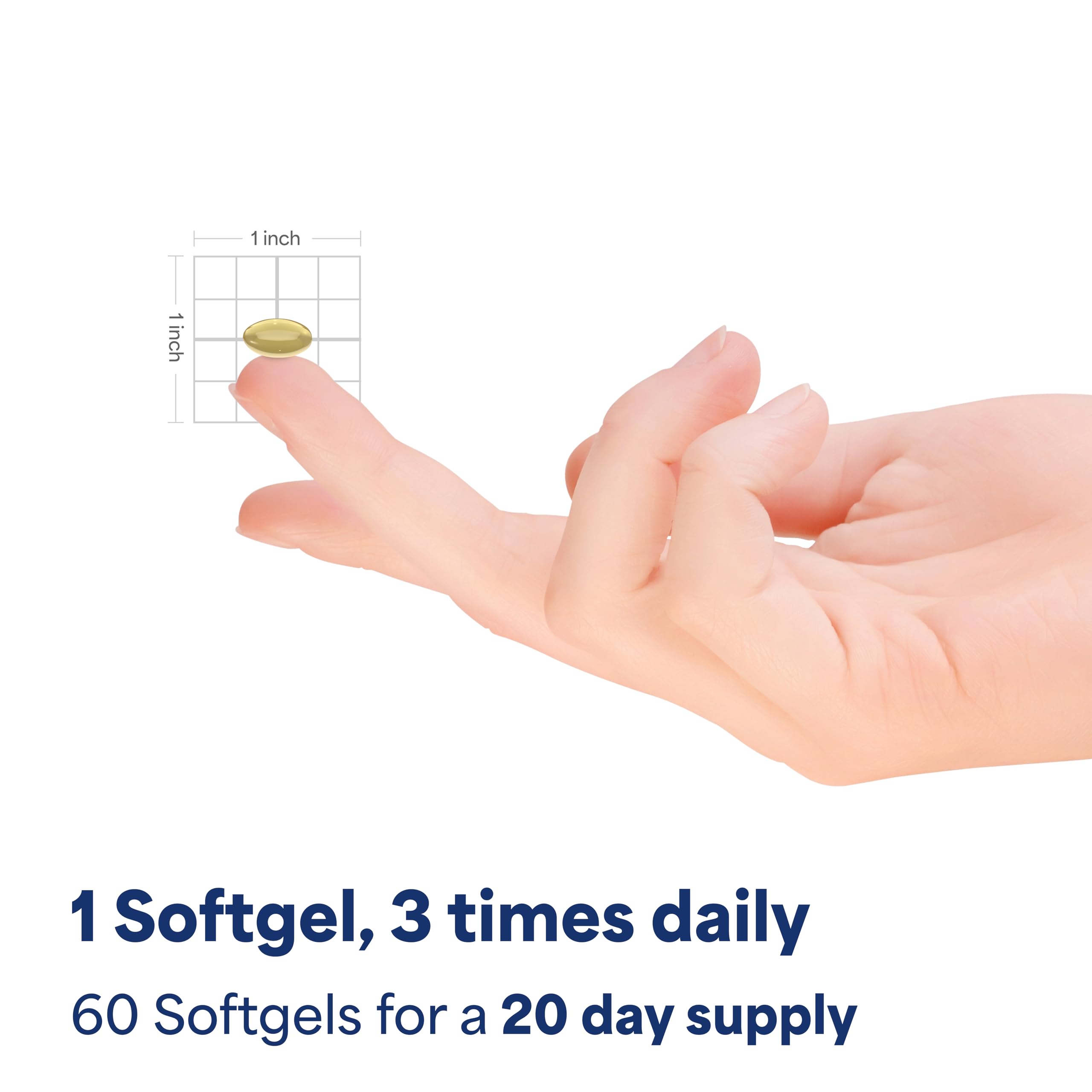 Ubiquinol supports cellular energy production