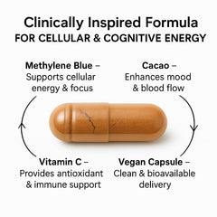Vitamin C Ester and methylene blue ingredients panel