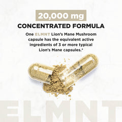 High-concentration Lion's Mane extract (50% polysaccharides) capsule