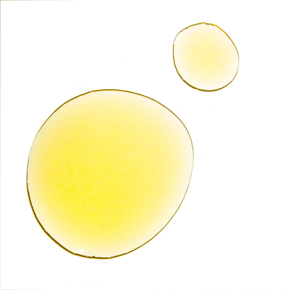 UMA Pure Rest Wellness Oil diffuser scene delivering soothing ambience