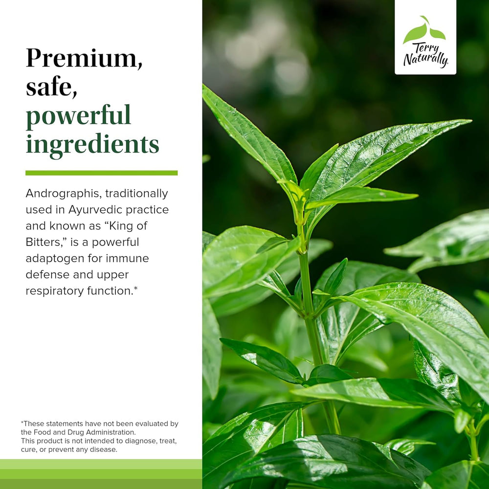 Umckaloabo extract ingredient label close-up