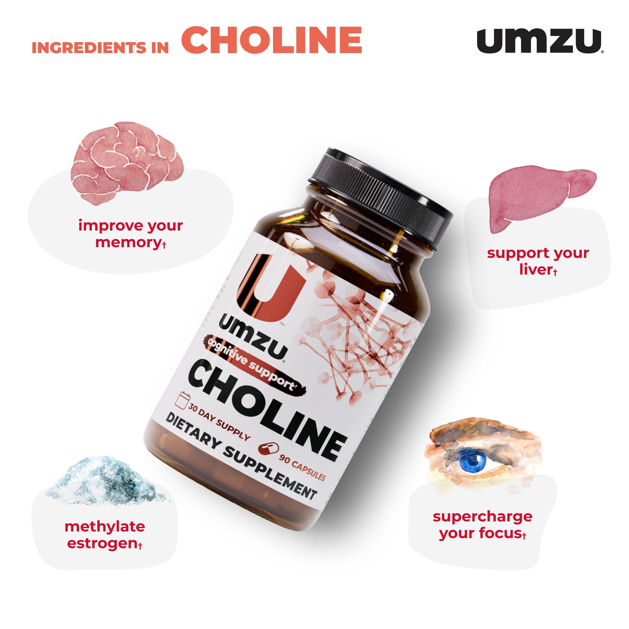 Illustration of brain with acetylcholine boost concept