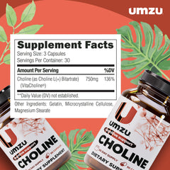 Liver and metabolism concept illustrating choline support