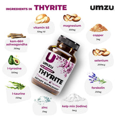 Close-up of Thyrite capsule showing coating