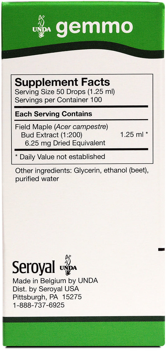 Field Maple bud extract for gemmotherapy