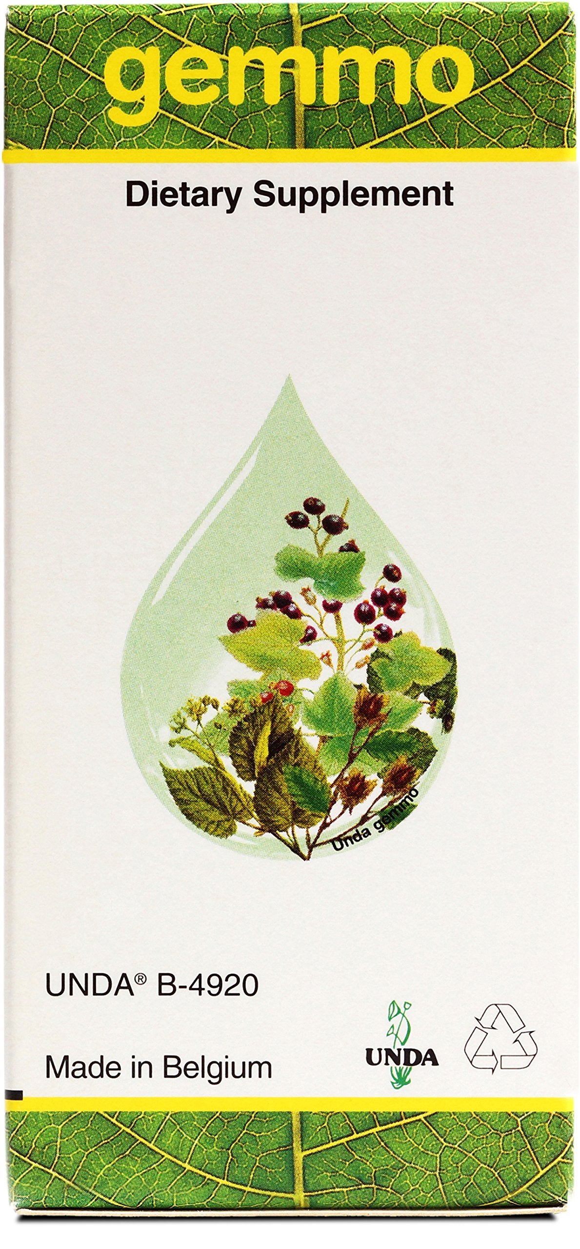 Gemmotherapy preparation in glycerin and organic ethanol medium