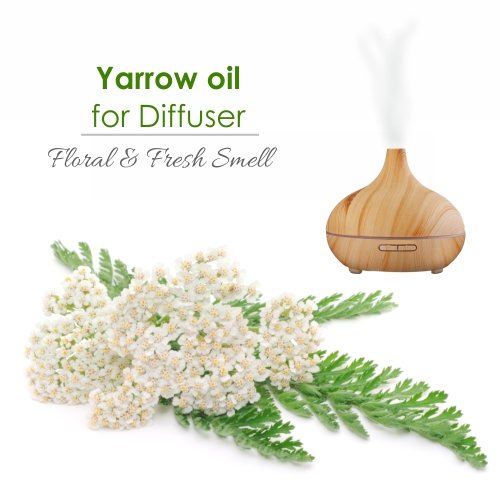 Undiluted Yarrow Oil being poured