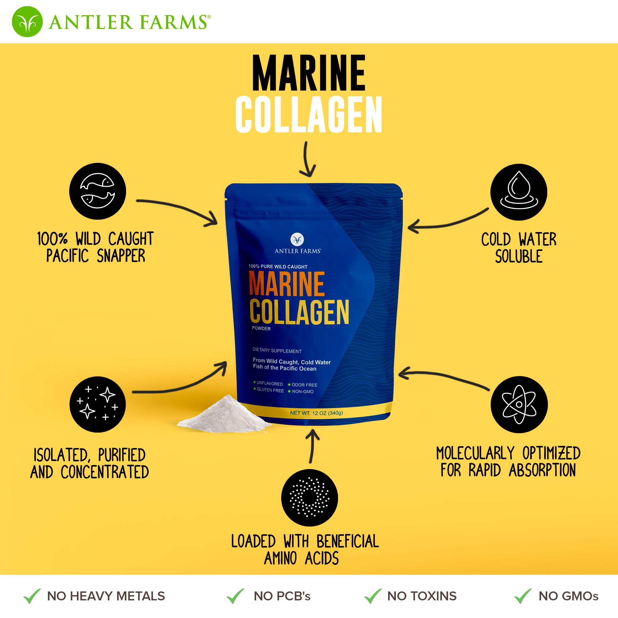 Unflavored marine collagen powder appearance
