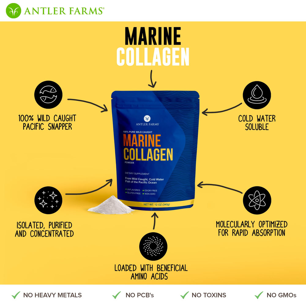 Unflavored marine collagen powder appearance