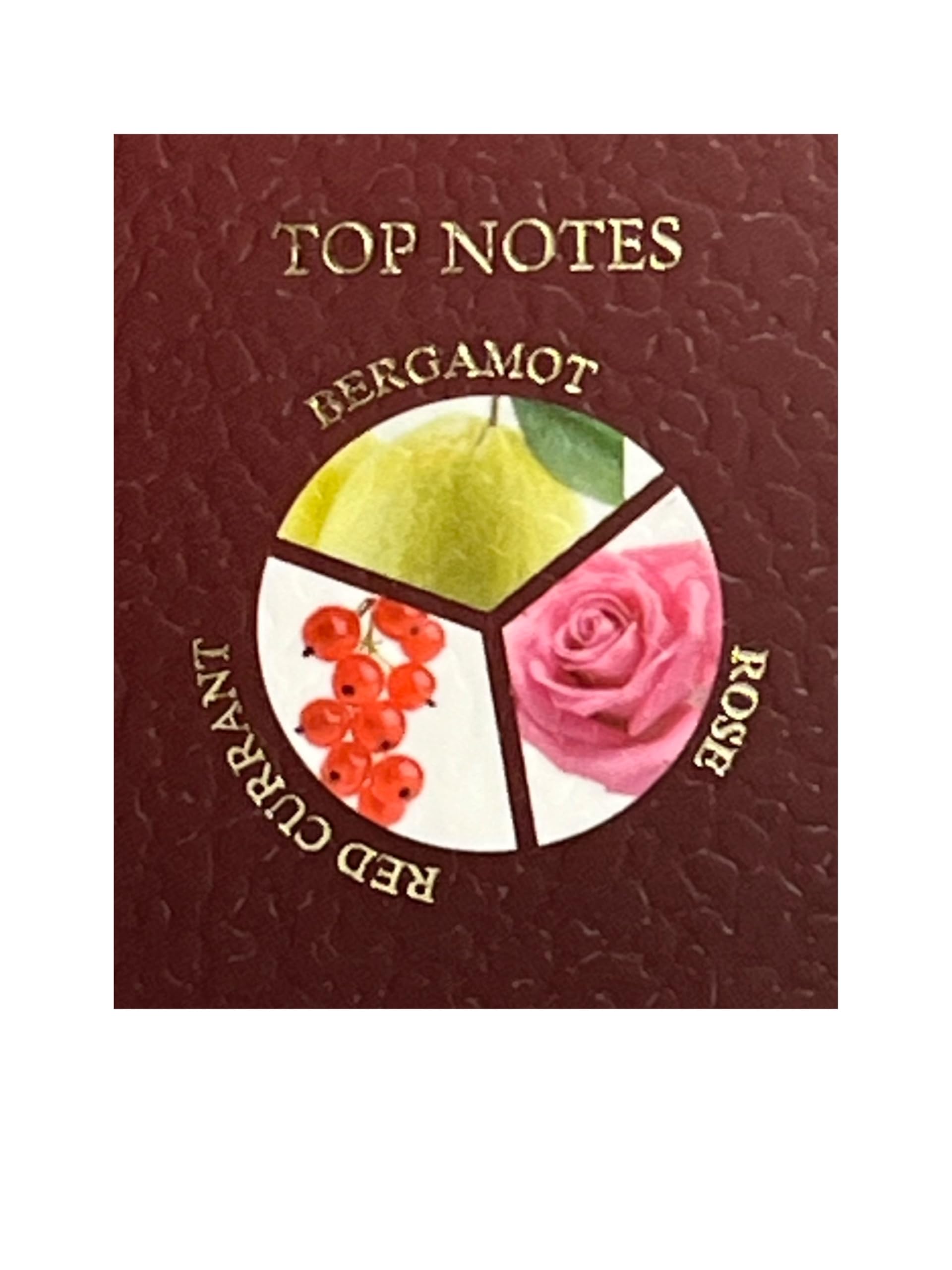 United Scents Pouch Blush Rose glass perfume bottle on vanity