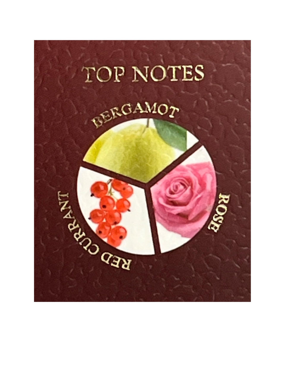 United Scents Pouch Blush Rose glass perfume bottle on vanity