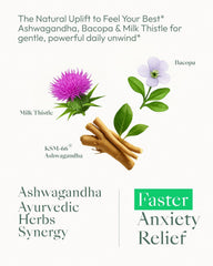 Dual-action formula highlight for Upbe Ashwagandha