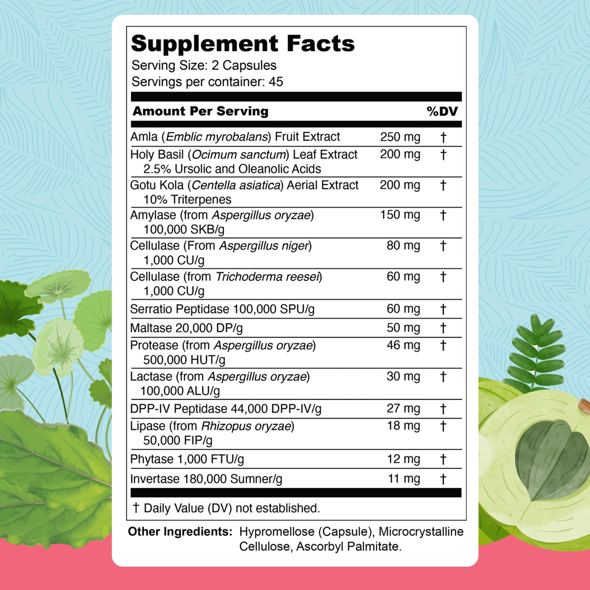 Illustration showing the 13 ingredients in Total Revive+