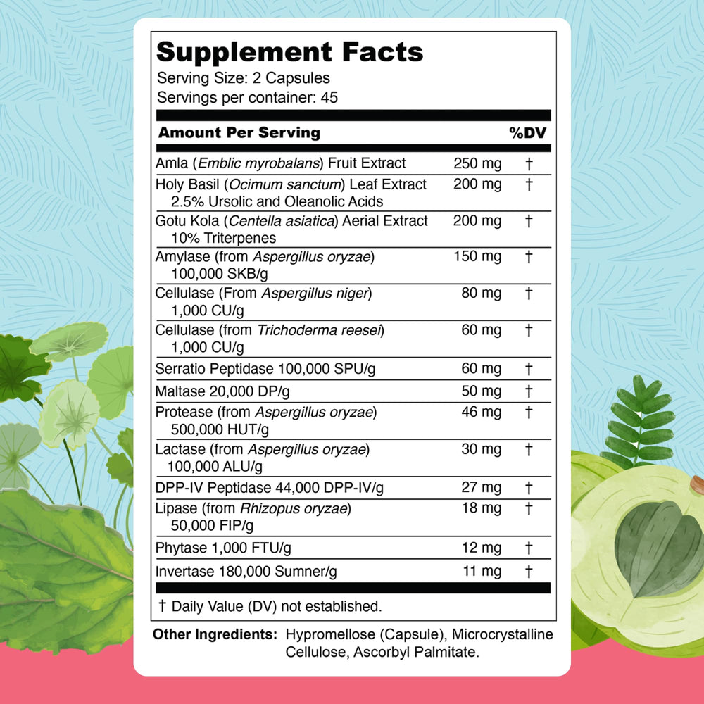 Illustration showing the 13 ingredients in Total Revive+