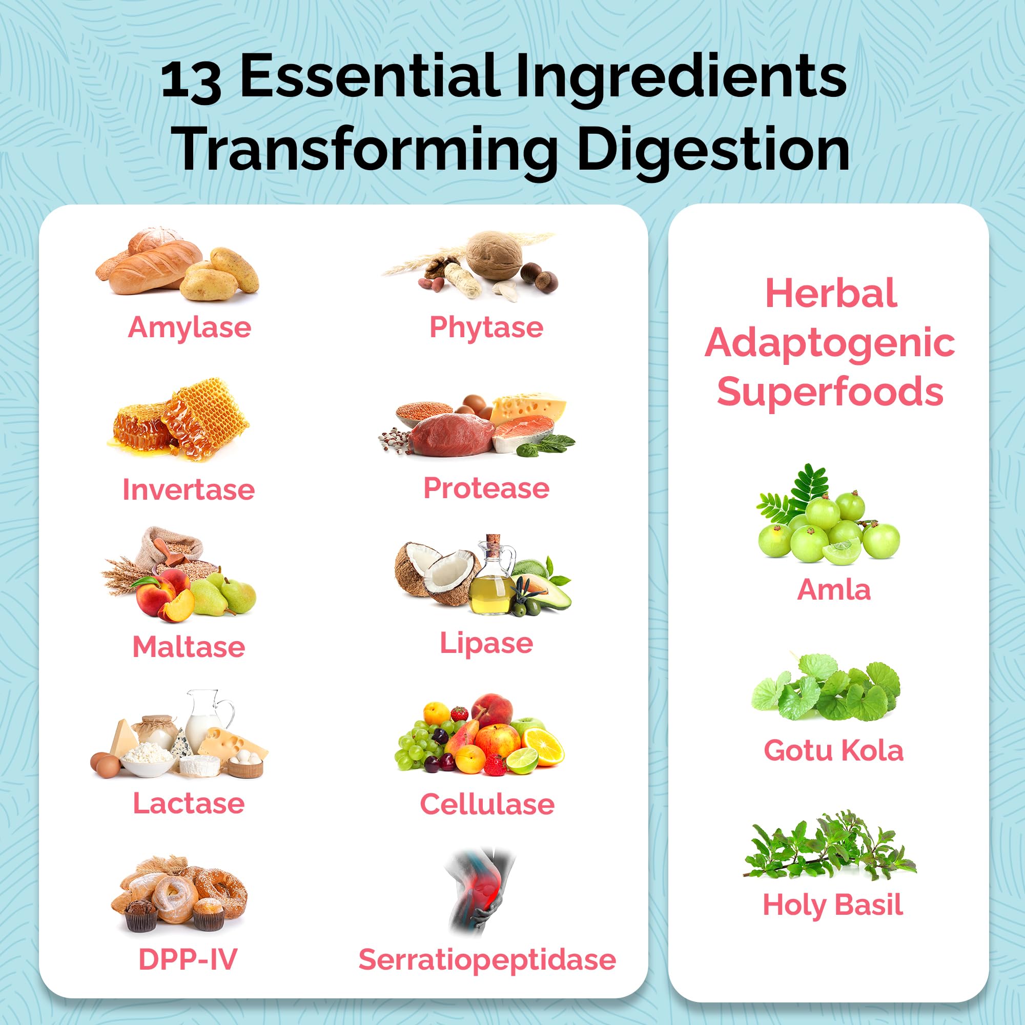 Serving size and dosing directions for Total Revive+ Digestive Enzymes