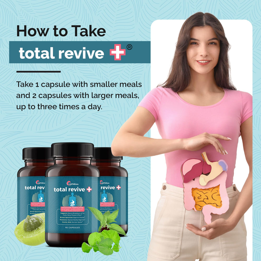 Concept image representing gut health and digestion