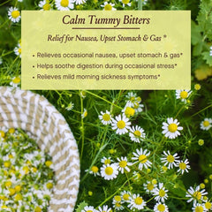 Close-up of herbal ingredients: dandelion, burdock, chamomile and ginger