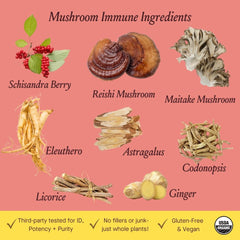 Ingredients list for Urban Moonshine Mushroom Immune