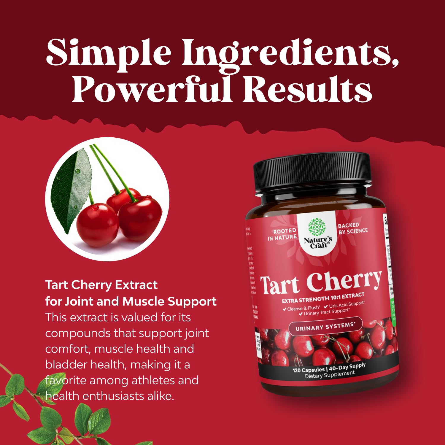 Uric acid support through tart cherry extract and polyphenols
