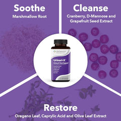 Grapefruit seed extract and oregano illustration