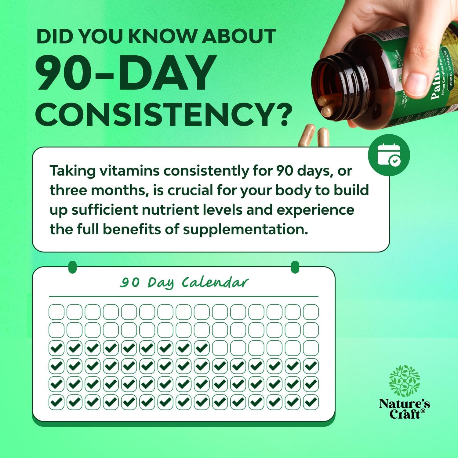 Urinary wellness concept with herbs