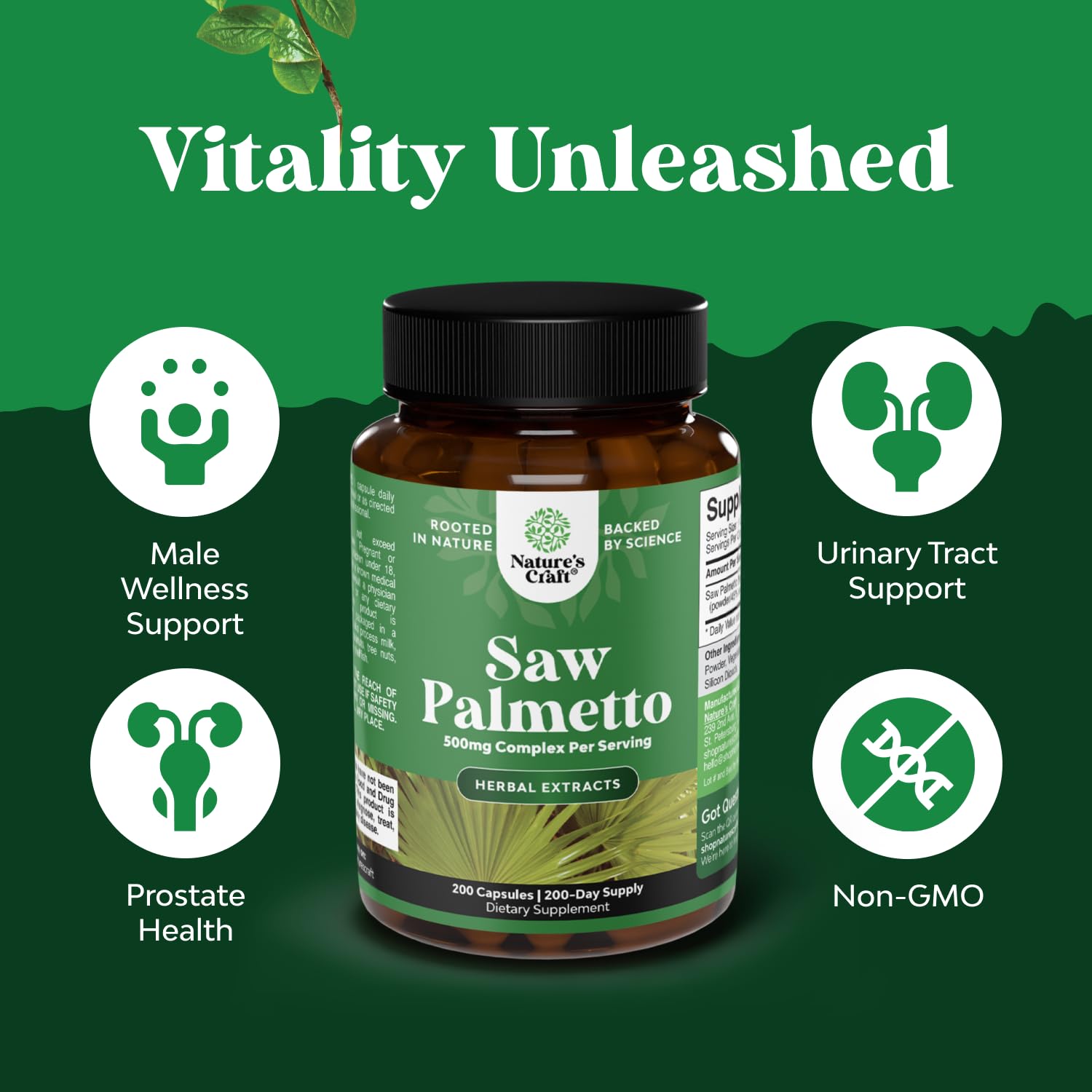 Illustration of urinary support benefits from Saw Palmetto