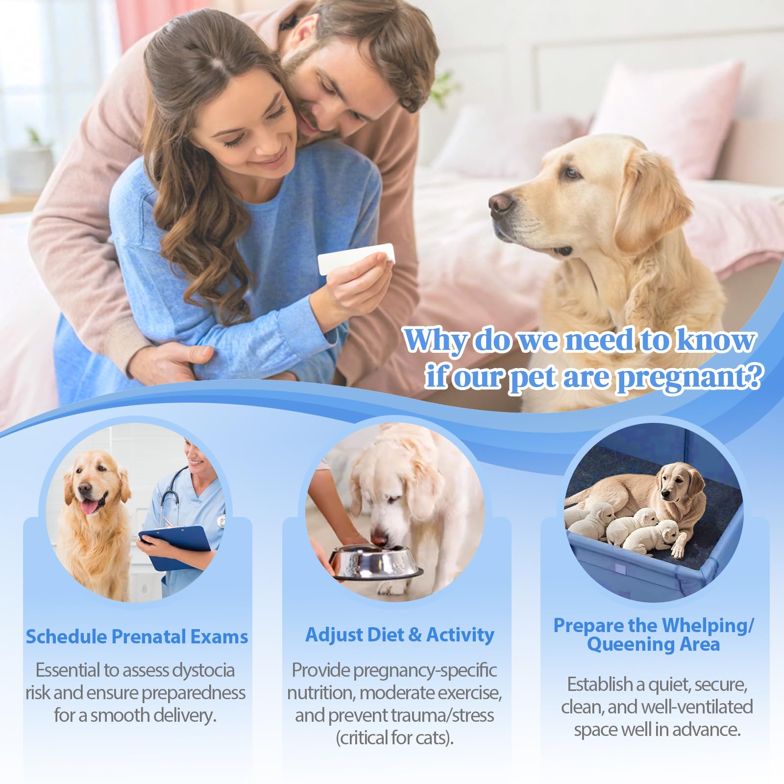 Urine sample collection for dogs and cats