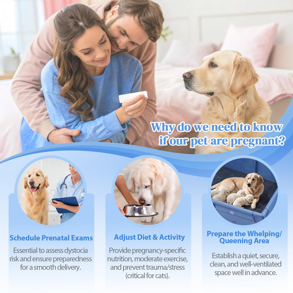 Urine sample collection for dogs and cats