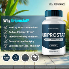 Uriprostat 2-pack prostate health supplement bundle