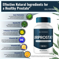 Uriprostat ingredients label close-up
