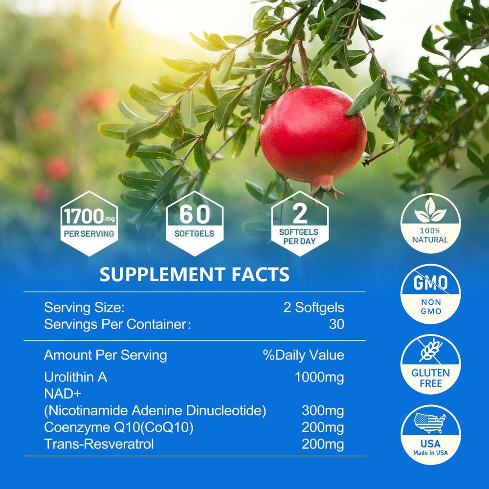 Product packaging and box details