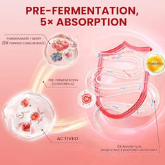 Pre-fermentation and absorption concept for Urolithin A+