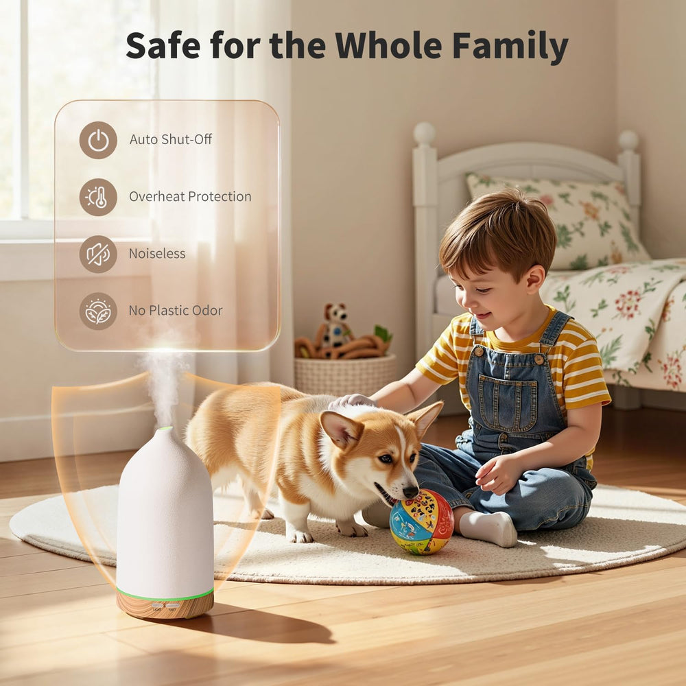 Mist emission from diffuser illustrating two mist modes