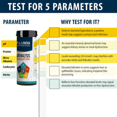 Test strip showing color indicators for pH and Ketone