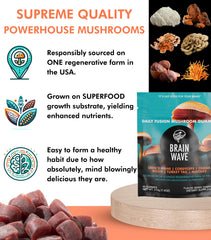 Mushroom farm in the USA