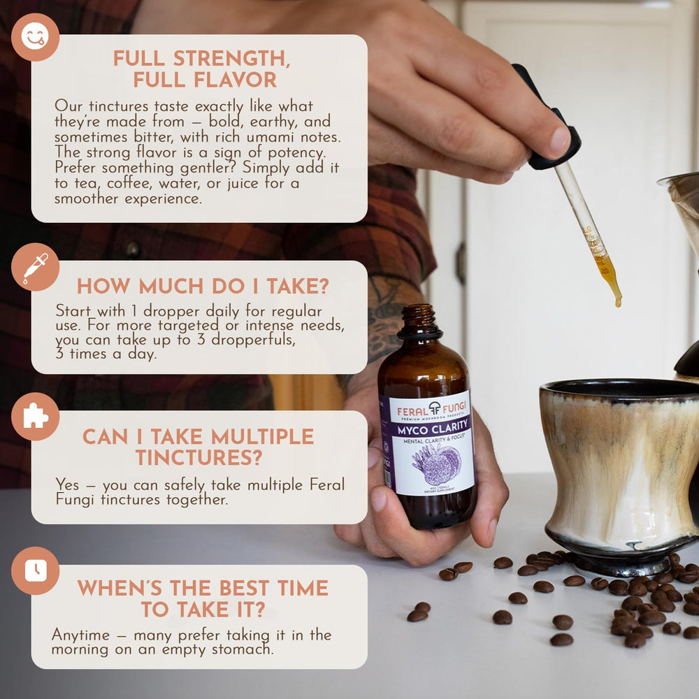 USA-grown organic and wildcrafted mushrooms used in tincture