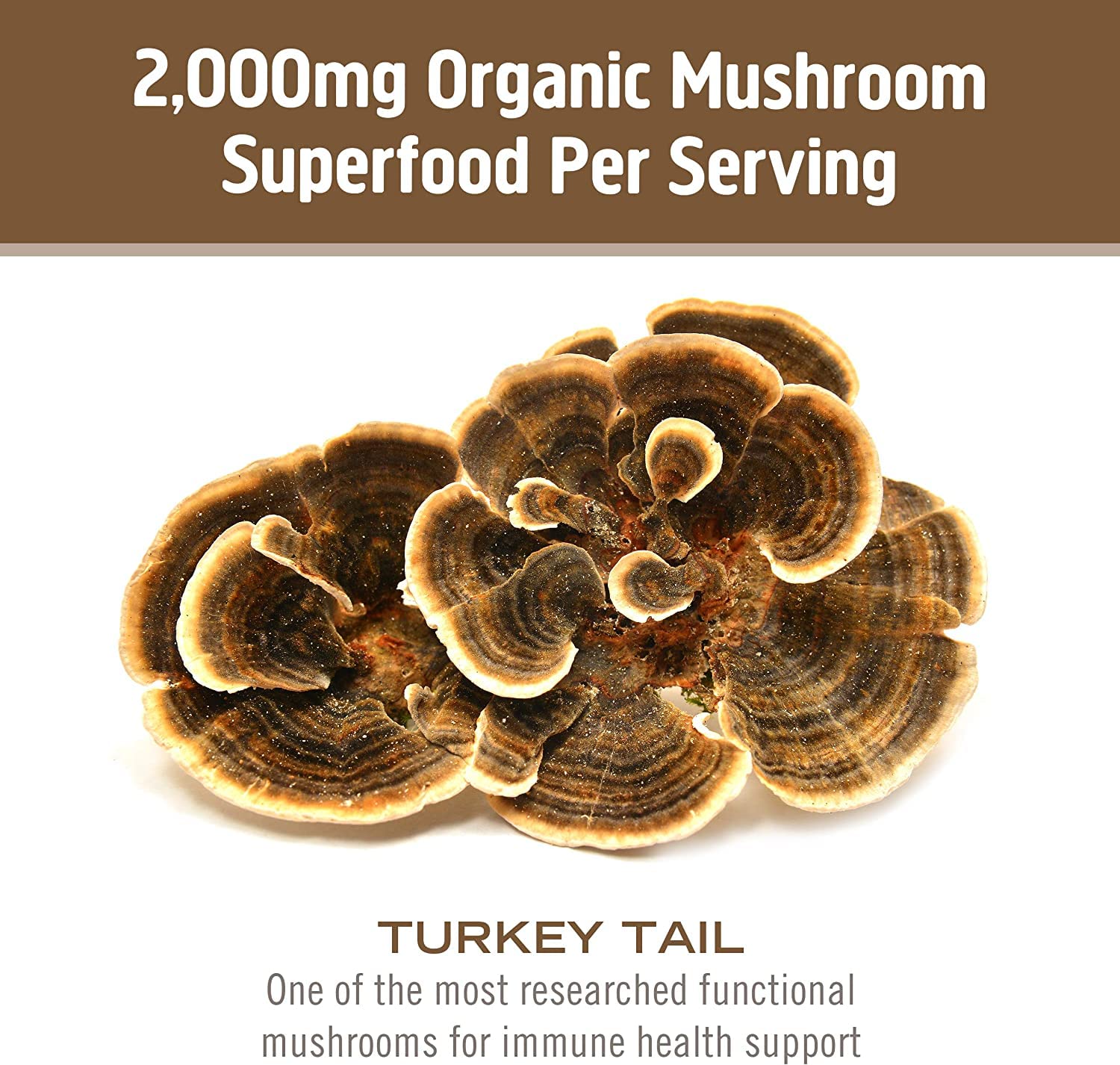 USA-grown Om Mushrooms facility in California