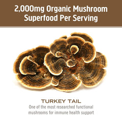 USA-grown Om Mushrooms facility in California