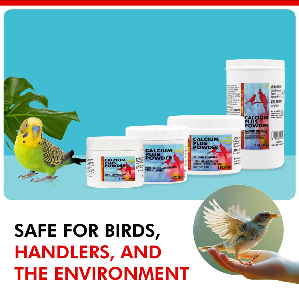 Packaging and powder texture of Morning Bird Calcium Plus