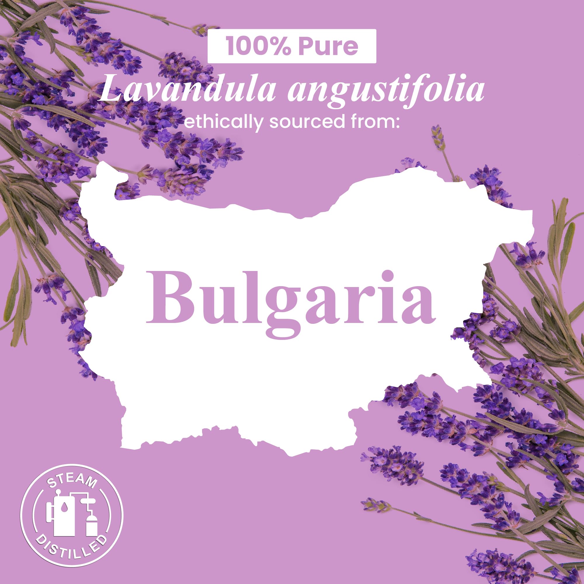 USA-sourced lavender essential oil bottle