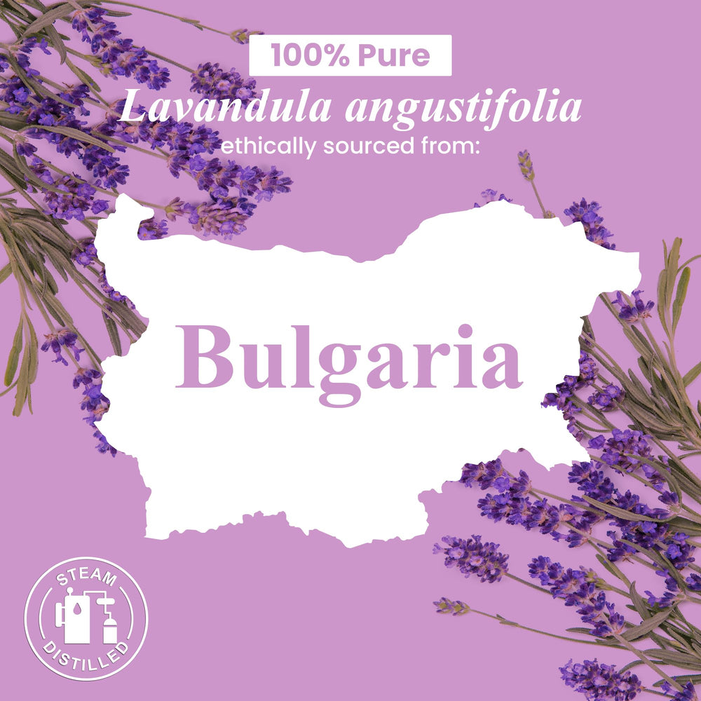 USA-sourced lavender essential oil bottle