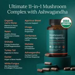 Capsules bottle of Lions Mane with Ashwagandha 10x mushroom complex