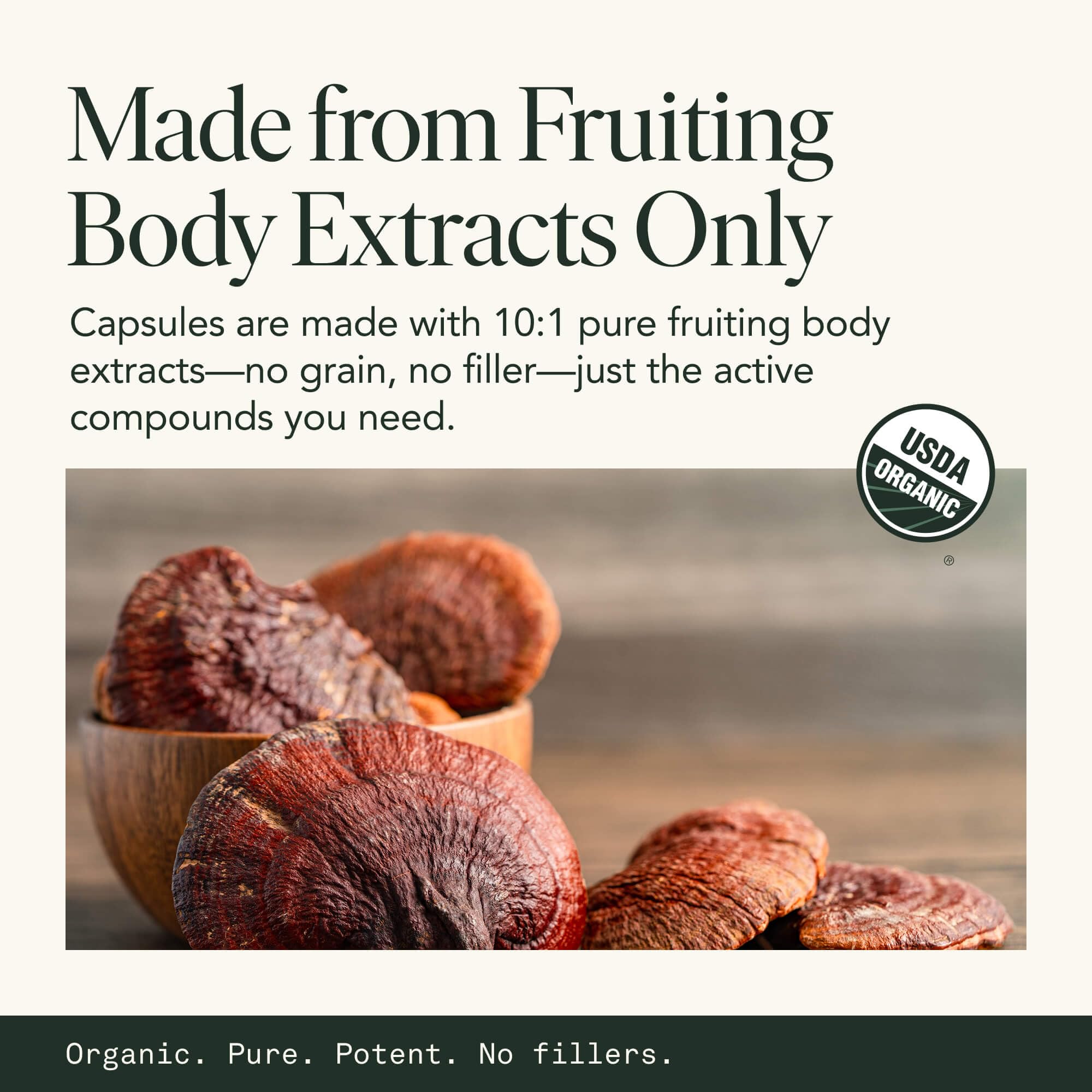 USDA Organic mushrooms used in the supplement