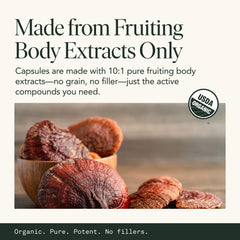 USDA Organic mushrooms used in the supplement