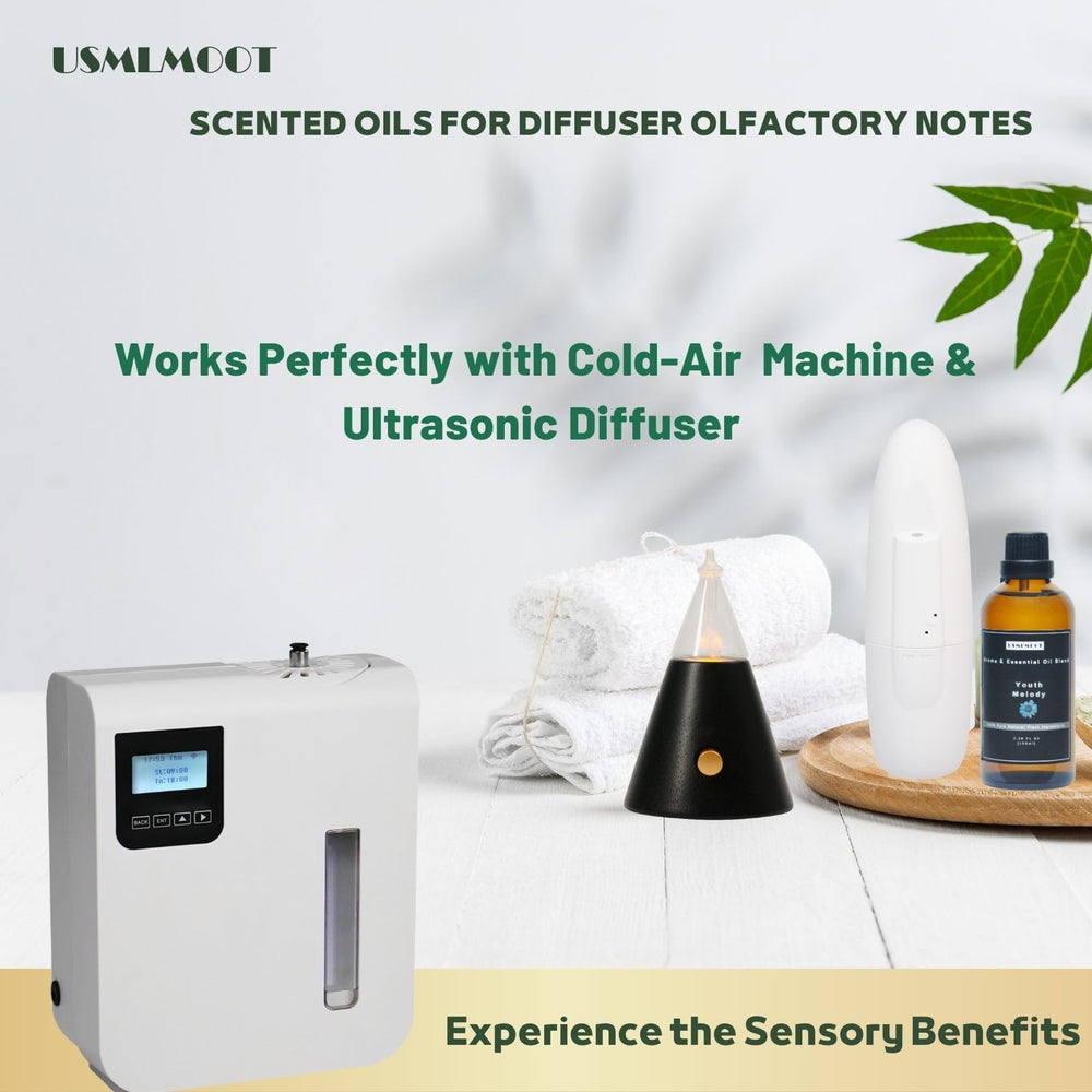 USMLMOOT Youth Melody lounge ambience depicting hotel-like luxury at home