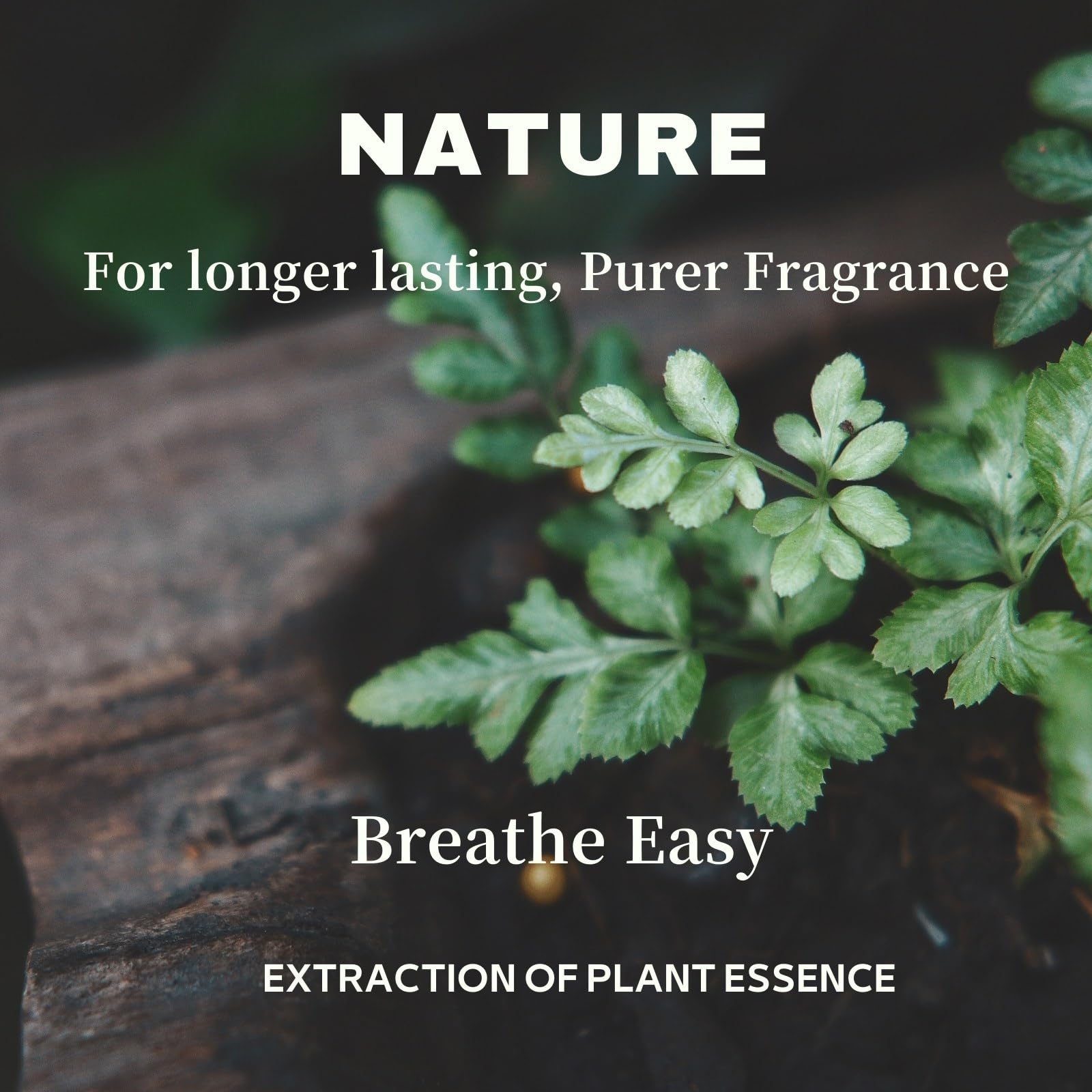 USMLMOOT Youth Melody packaging display suggesting gift-ready luxury