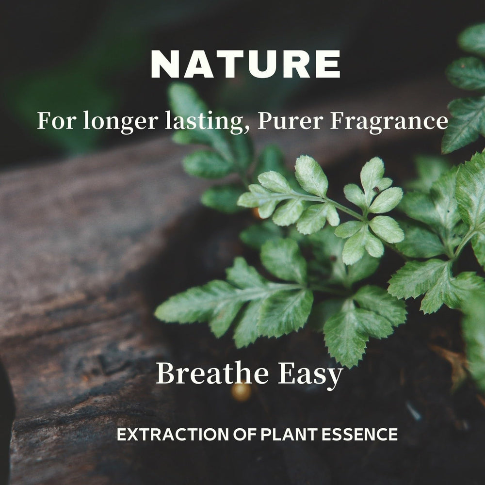 USMLMOOT Youth Melody packaging display suggesting gift-ready luxury