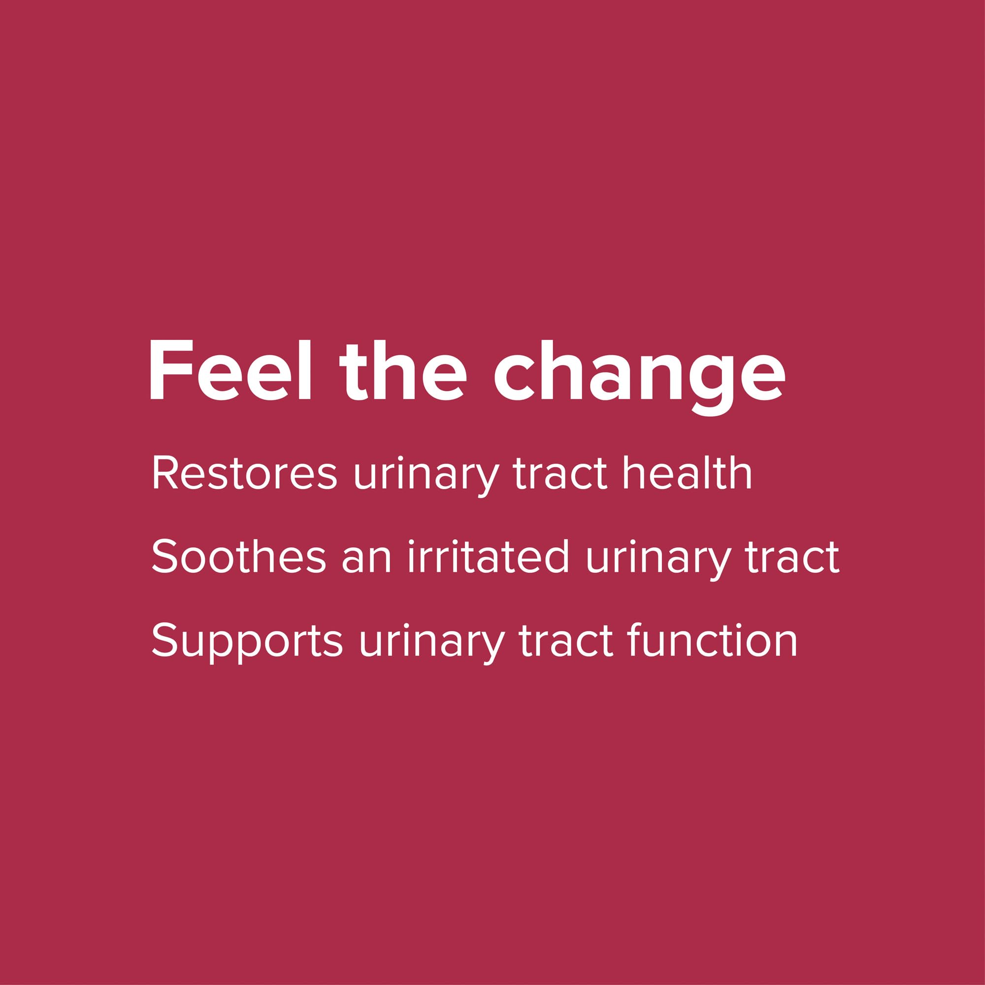 Illustration showing urinary tract support with U.T. Vibrance