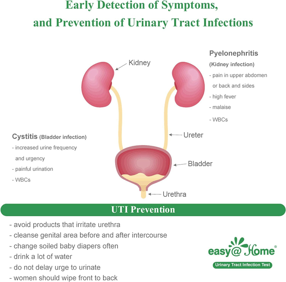 Compact at-home urine test strips for convenience