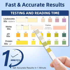 Color chart for quick UTI test strip results and instructions